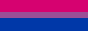 Queer owned business (bi flag)